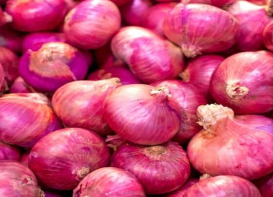 Kya Rhega Pyaj Ka Bhav