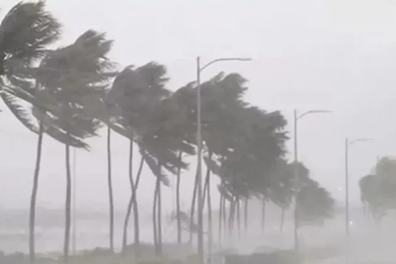 rajasthan weather update