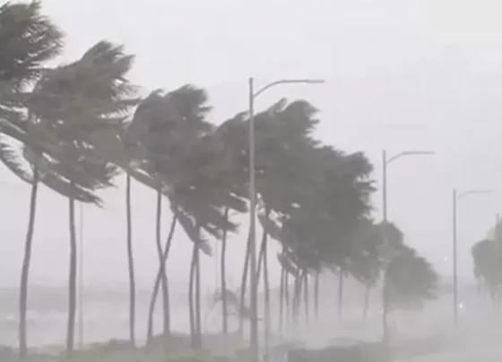 rajasthan weather update