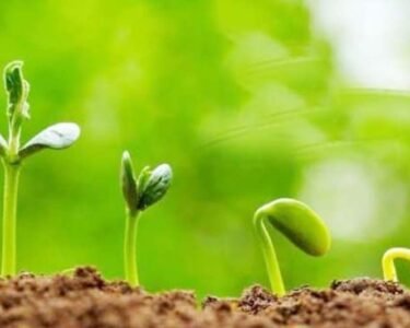 Jevik Kheti Kese Kare Or Iske Fayde Kya Hai?