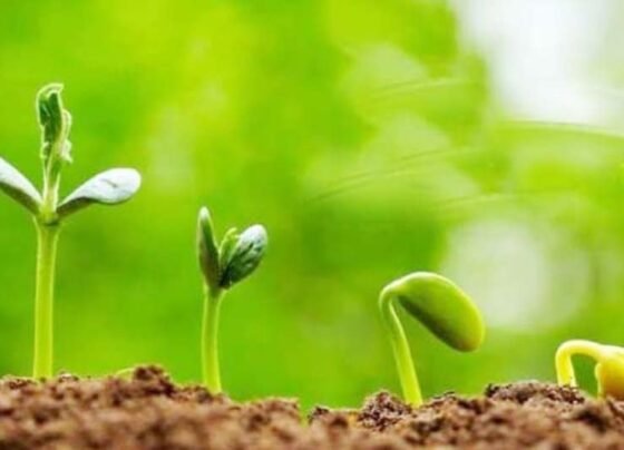 Jevik Kheti Kese Kare Or Iske Fayde Kya Hai?