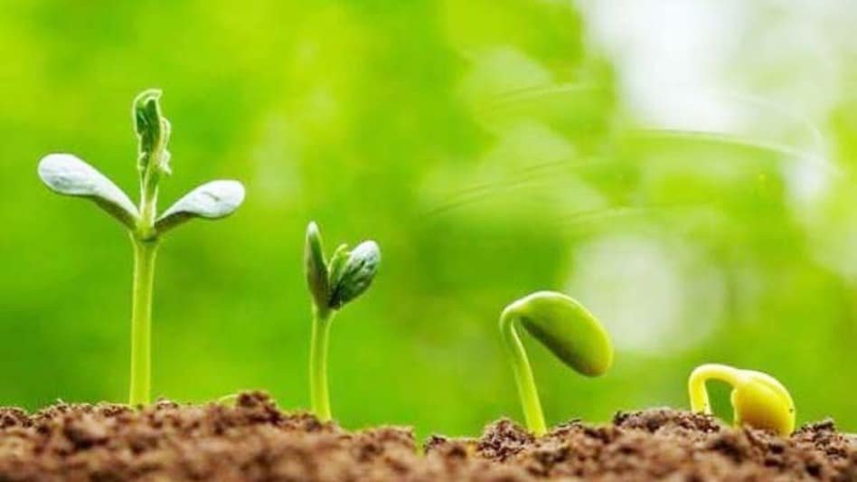 Jevik Kheti Kese Kare Or Iske Fayde Kya Hai?