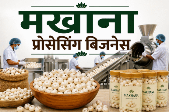 Makhana Processing Business