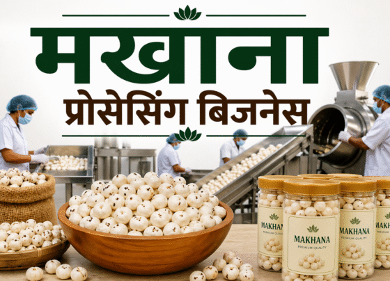 Makhana Processing Business