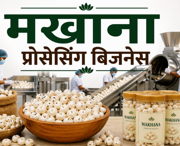 Makhana Processing Business