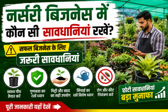 Nursary Business Me Konsi savdhiya Rkhe
