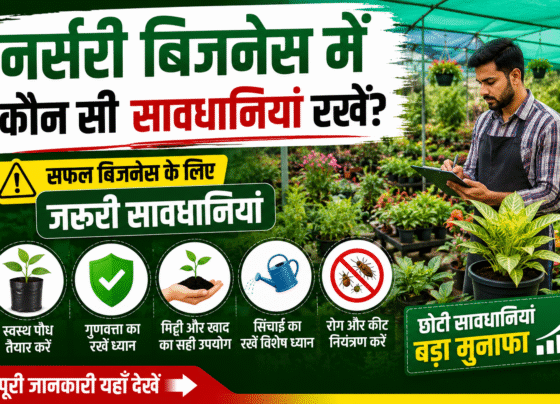 Nursary Business Me Konsi savdhiya Rkhe