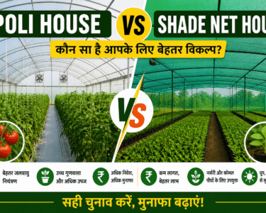 Poli House VS Shade Net House