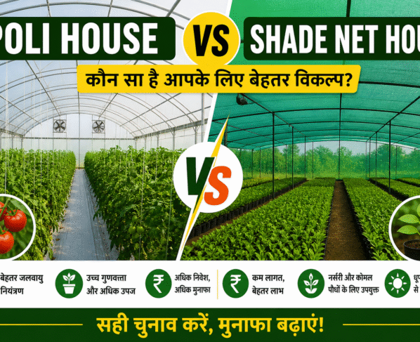 Poli House VS Shade Net House
