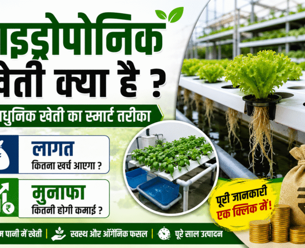 Hydroponic Kheti Kya Hai