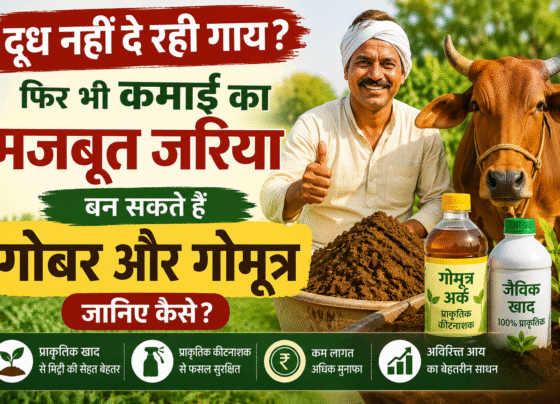Gobar Gomutra se Kamaai