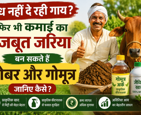 Gobar Gomutra se Kamaai
