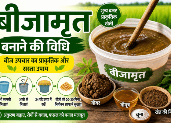 Beejamrit Banane Ki Vidhi