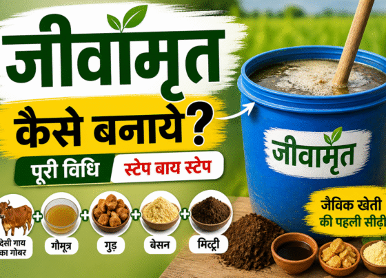 Jivamrit Kaise Bnaye