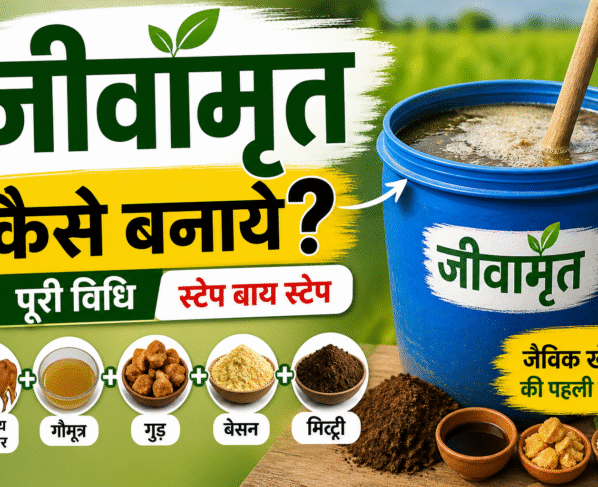 Jivamrit Kaise Bnaye