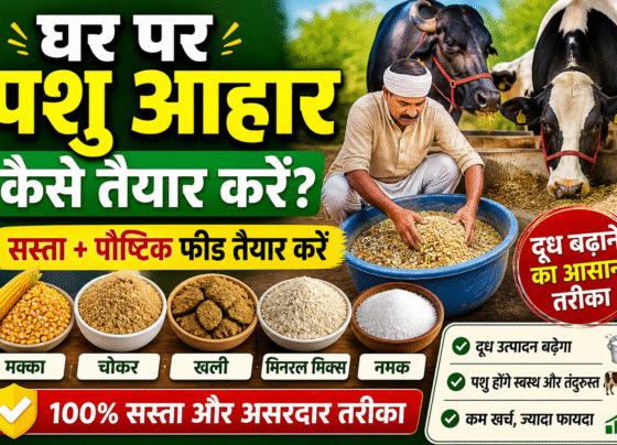 Ghar Par Pashu Aahar Kaise Taiyar kare