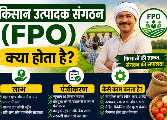 FPO Kya Hota Hai