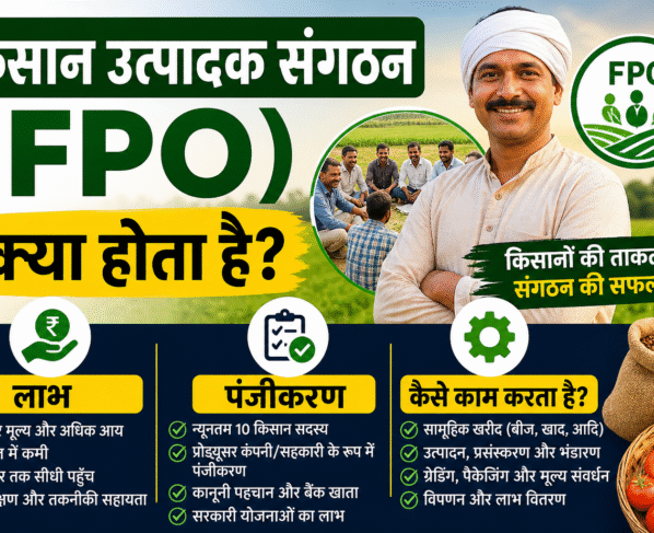 FPO Kya Hota Hai