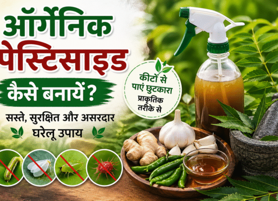 Organic Pesticide Kaise Bnaye