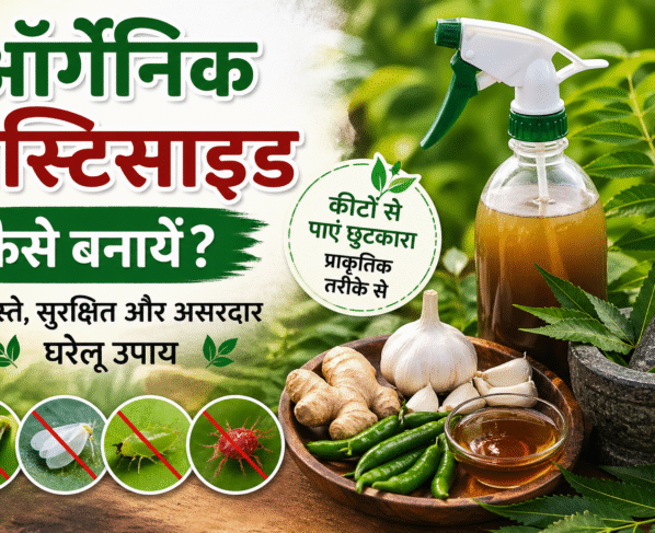 Organic Pesticide Kaise Bnaye