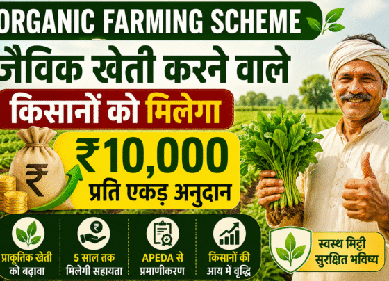 Organic Farming Farmers Will Get Rs 10000 Per Acre Subsidy