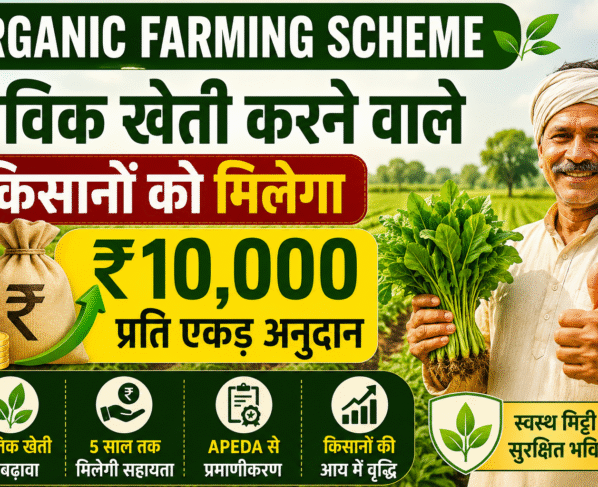 Organic Farming Farmers Will Get Rs 10000 Per Acre Subsidy