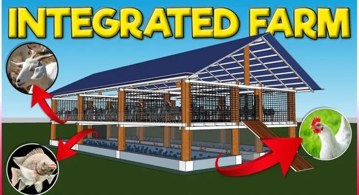 Integrated Farming Kya Hai