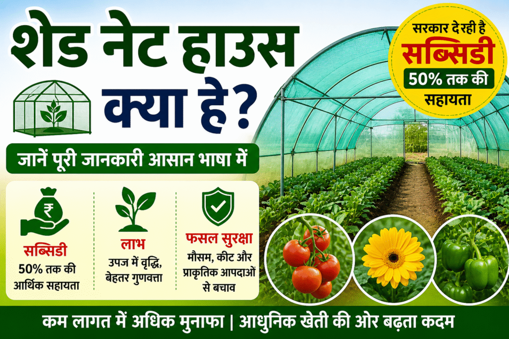  Shade Net House Kya Hai