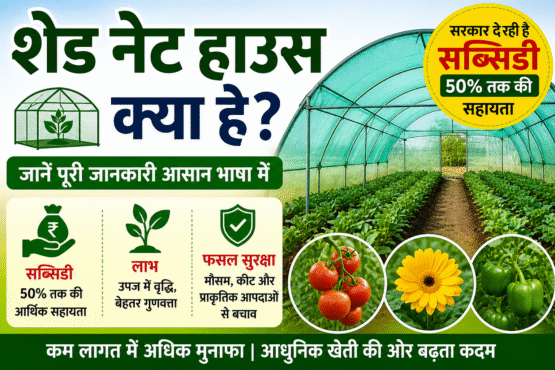 Shade Net House Kya Hai