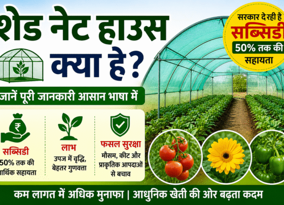 Shade Net House Kya Hai