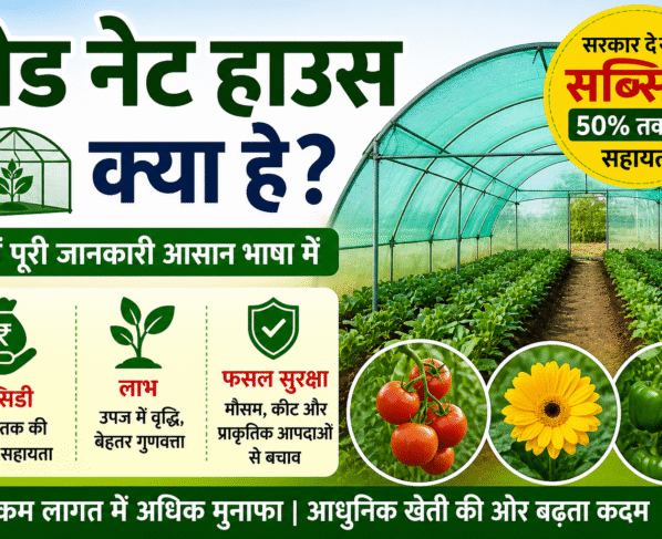 Shade Net House Kya Hai