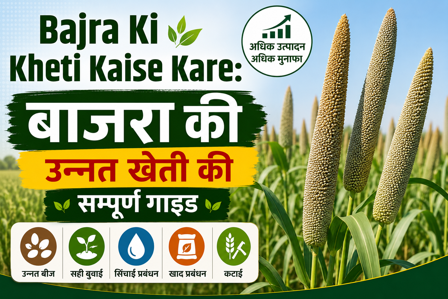 Bajra Ki Kheti Kaise Kare: बाजरा की उन्नत खेती की सम्पूर्ण गाइड