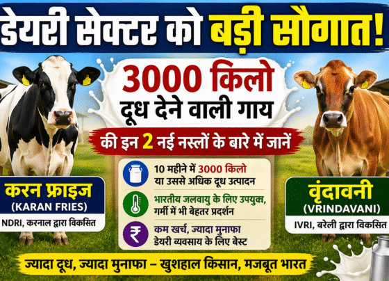 New Cow Breed in India