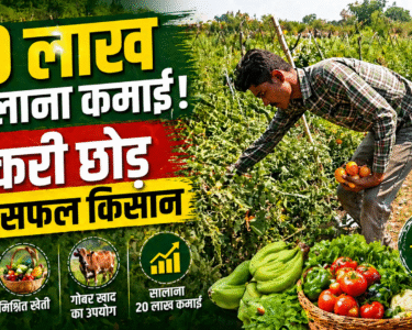 Organic Farming Success Story