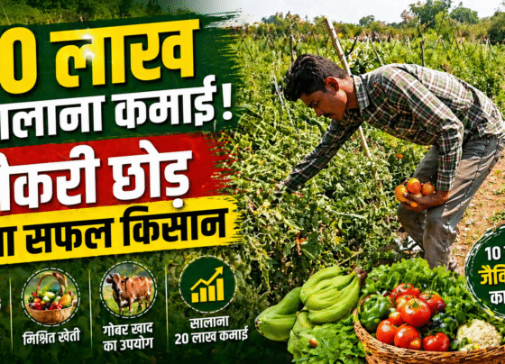 Organic Farming Success Story