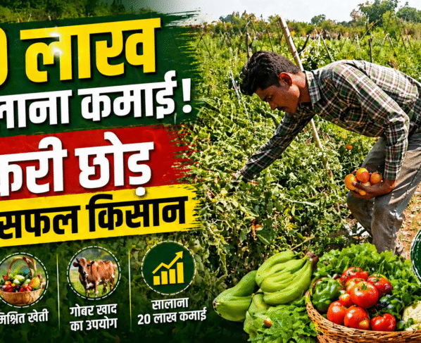 Organic Farming Success Story