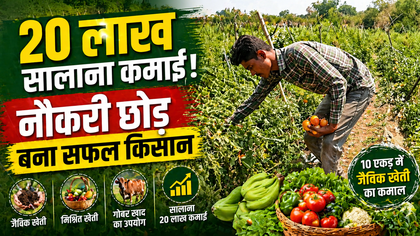 Organic Farming Success Story: जैविक खेती ने बदली जिंदगी, युवक बना लाखों कमाने वाला किसान