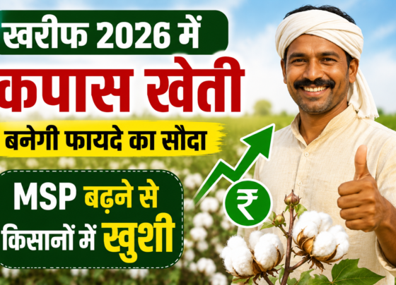 Cotton Farming News