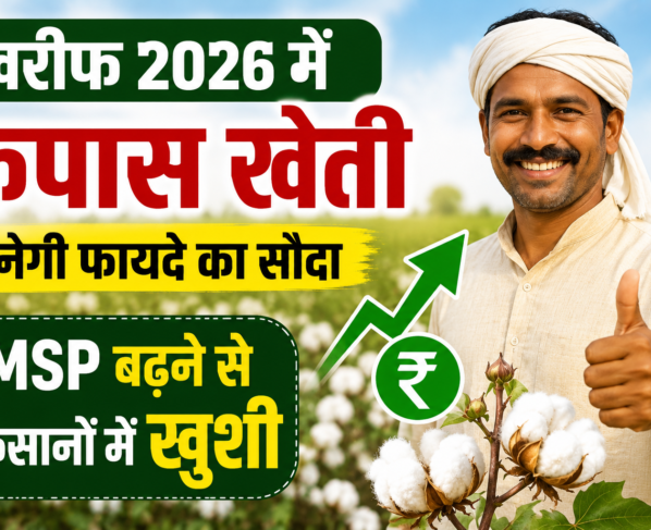 Cotton Farming News