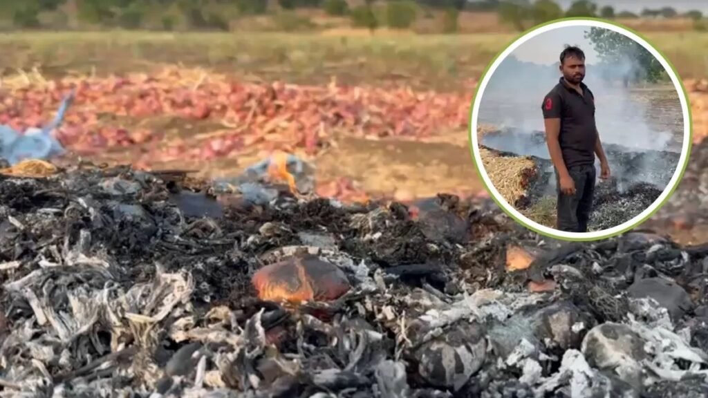 Dharashiv Farmers Burn 600 Sacks Onion