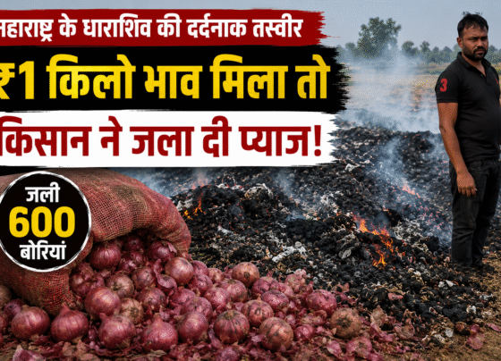 Dharashiv Farmers Burn 600 Sacks Onion