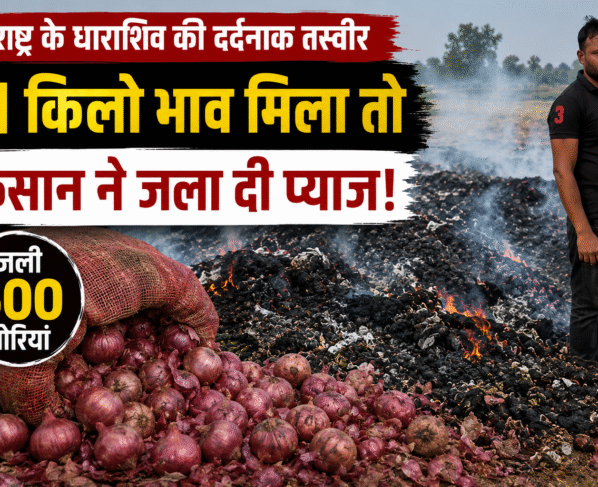 Dharashiv Farmers Burn 600 Sacks Onion