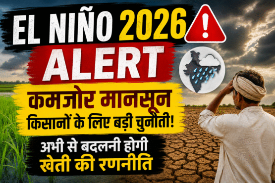 El Niño 2026 Alert