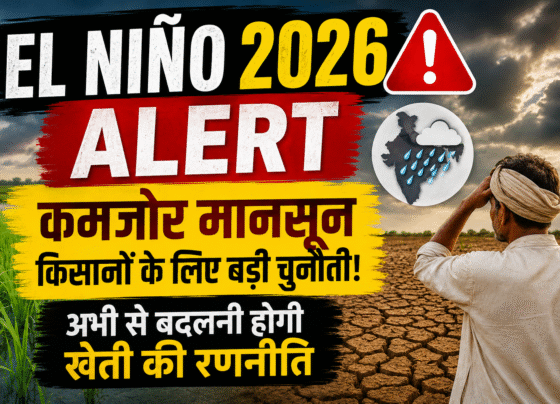 El Niño 2026 Alert