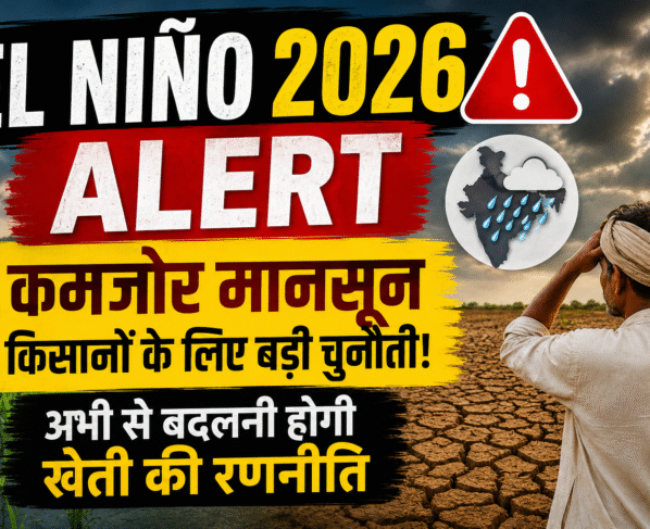 El Niño 2026 Alert