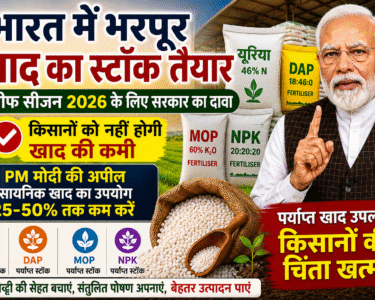 India Fertiliser Stock 2026