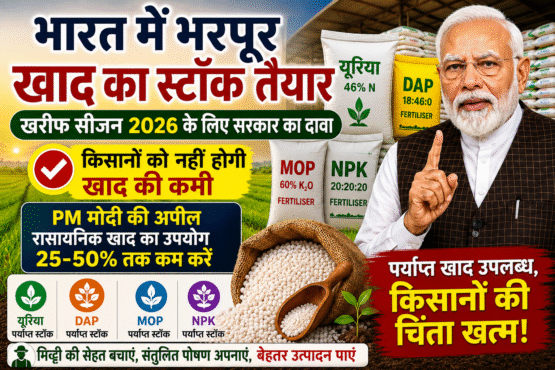 India Fertiliser Stock 2026