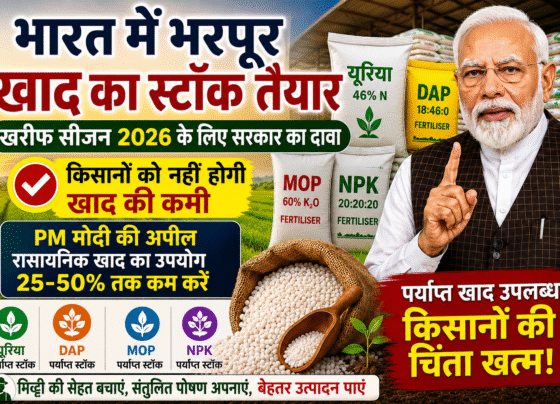 India Fertiliser Stock 2026