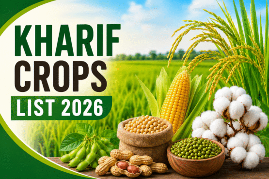 Kharif Crops List 2026
