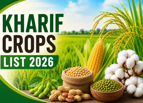 Kharif Crops List 2026